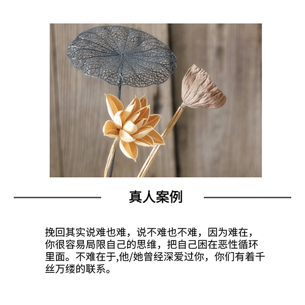 1703414812497545.png 3.png